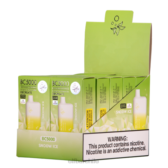 ELFBAR Snow Ice bc5000 consumidor - 50 mg - individual DF54629